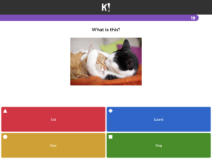 Kahoot! Quiz animals