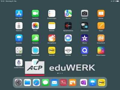 iPad Homebildschirm mit App Übersicht